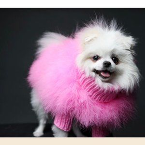 Christian Cowan x Maxbone Hot Pink Doggie (or Kitty) jumper - Size Medium